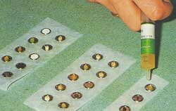 Preparing for Patch testing