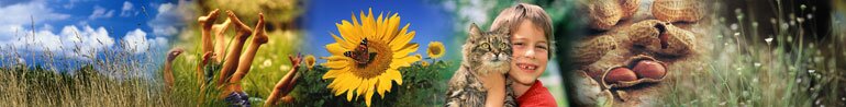 Auckland Allergy Clinic Banner
