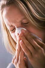 Allergy Sufferer