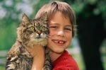 Cat Allergy